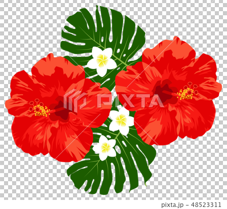 ハイビスカス（赤）、プルメリア、モンステラのハワイアンアクセサリー