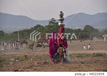 インドのプシュカル 砂漠で生活するインド人家族 水瓶を運ぶサリーを着た女性 砂漠に集まるラクダ インドのプシュカル 砂漠で生活するインド人家族 水瓶を運ぶサリーを着た女性 砂漠に集まるラクダ 48523956