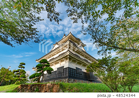 夏の館山城夏の館山城 夏の館山城夏の館山城 48524344