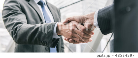 Businessman making handshake with partner Businessman making handshake with partner 48524597