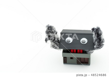 目玉シール付き火事の家:wiggly-eyed burning house 48524686