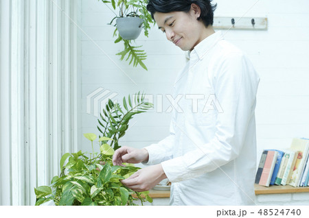 男性　ライフスタイル　ガーデニング 48524740