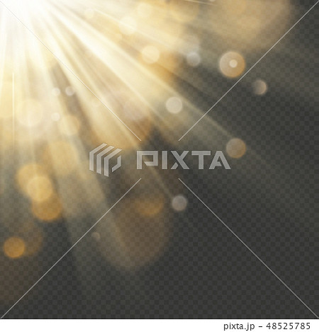 Light effect with glitter, sequins. Shining rays with bokeh. Sun particles and sparks with a Light effect with glitter, sequins. Shining rays with bokeh. Sun particles and sparks with a 48525785