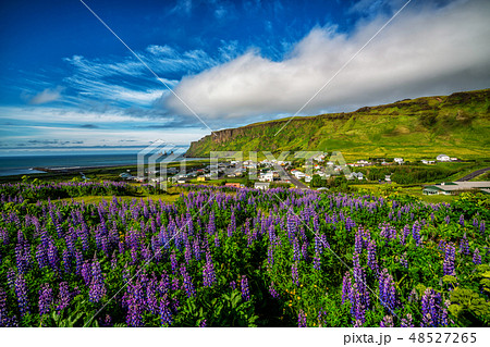 Beautiful town of Vik i Myrdal Iceland in summer. Beautiful town of Vik i Myrdal Iceland in summer. 48527265