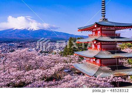 山梨県）日本の美・桜咲いた新倉山浅間公園・忠霊塔と富士山の写真素材