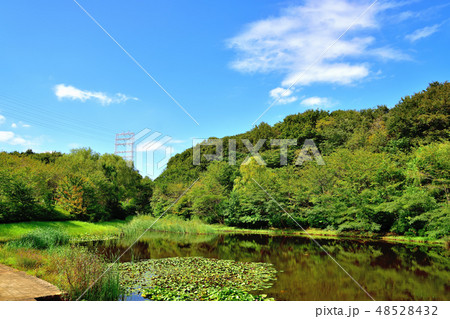 ズーラシア動物園内の池のある公園の風景 48528432