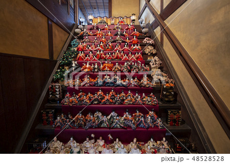 町家物語館/ひな祭り 48528528
