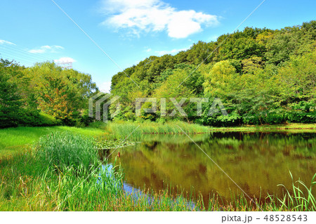 ズーラシア動物園内の池のある公園の風景 ズーラシア動物園内の池のある公園の風景 48528543