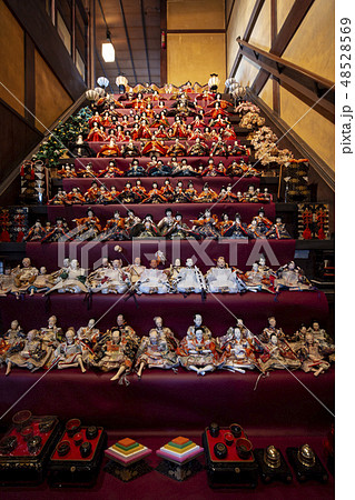 町家物語館/ひな祭り 町家物語館/ひな祭り 48528569