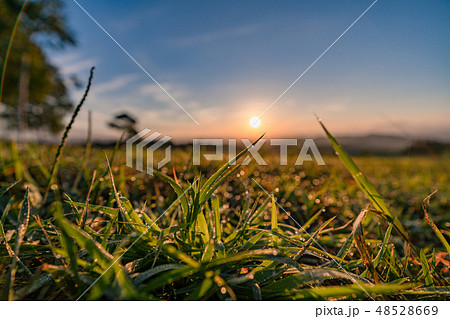 愛妻の丘 48528669