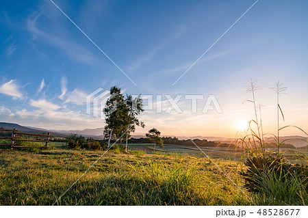 愛妻の丘 48528677