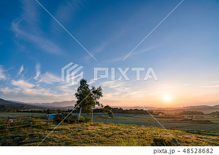 愛妻の丘 48528682