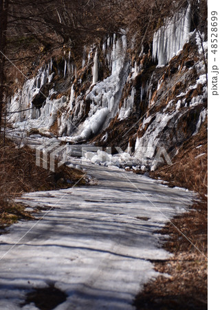 凍る湯川渓谷への林道 凍る湯川渓谷への林道 48528699