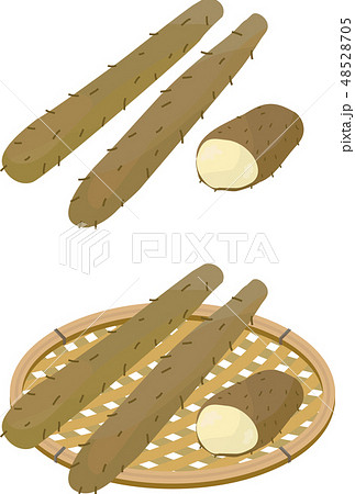 長いもかご盛り 長いもかご盛り 48528705
