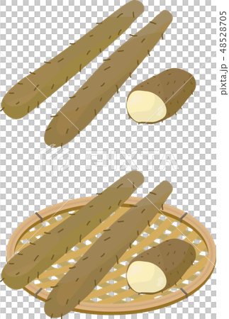 長いもかご盛り 長いもかご盛り 48528705