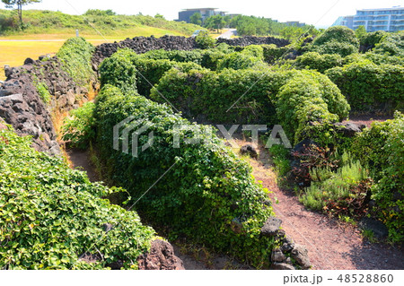 風景 観光 風 48528860