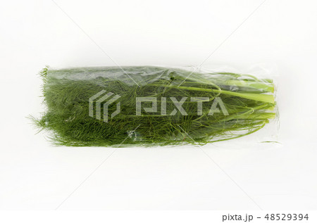 フェンネル（ウイキョウ） 袋入り 48529394