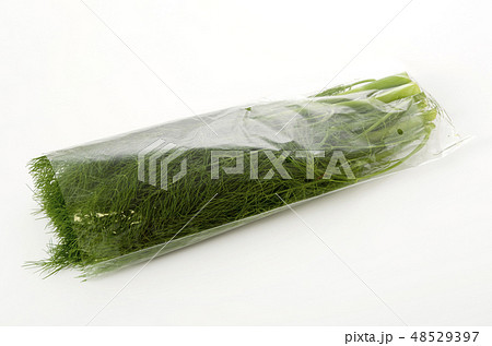 フェンネル(ウイキョウ) 袋入り フェンネル(ウイキョウ) 袋入り 48529397