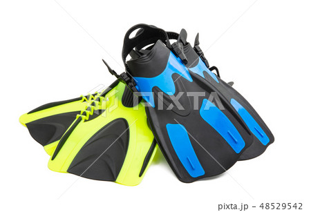 flippers isolated 48529542
