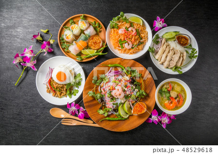 代表的なタイ料理　typical Thai cuisine 48529618