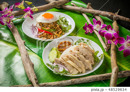 代表的なタイ料理 typical Thai cuisine 代表的なタイ料理 typical Thai cuisine 48529634