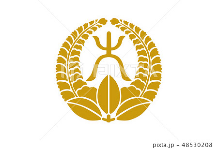 武将家紋金大久保忠世 武将家紋金大久保忠世 48530208