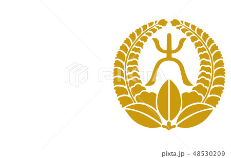 武将家紋金大久保忠世 武将家紋金大久保忠世 48530209