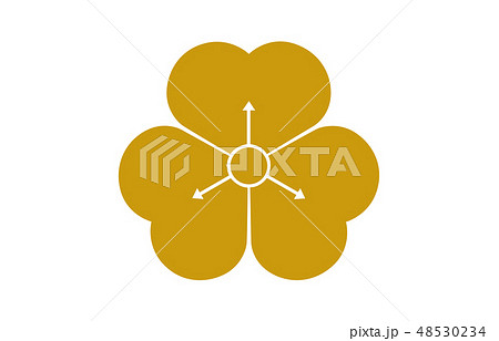 武将家紋金酒井忠次 48530234