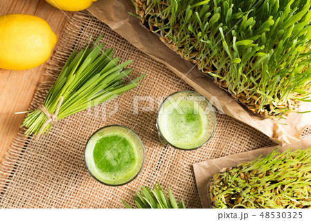 Two barley grass shots with fresh barley grass Two barley grass shots with fresh barley grass 48530325