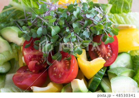 Fresh kale and broccoli microgreens in a salad 48530341
