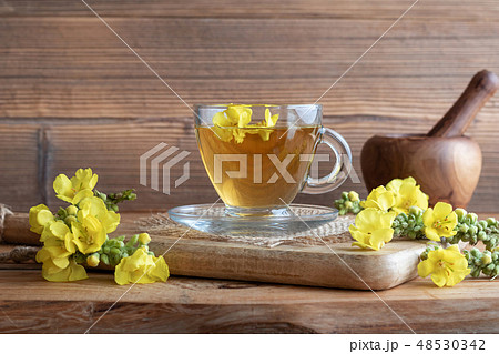 A cup of mullein tea with fresh blooming mullein A cup of mullein tea with fresh blooming mullein 48530342