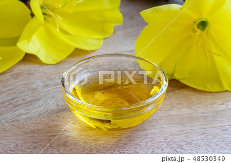 A bowl of evening primrose oil with fresh plant 48530349