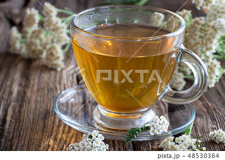 A cup of yarrow tea with fresh yarrow flowers 48530364