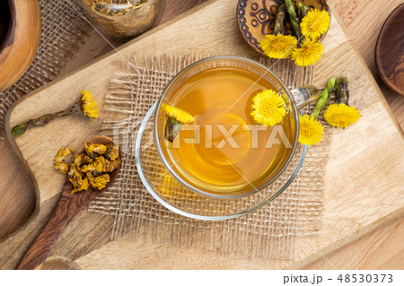 A cup of coltsfoot tea with fresh coltsfoot plant 48530373