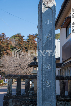 城下町小幡 小幡八幡宮 群馬県甘楽町 城下町小幡 小幡八幡宮 群馬県甘楽町 48530509