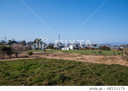 城下町小幡 田園風景 群馬県甘楽町 城下町小幡 田園風景 群馬県甘楽町 48531179