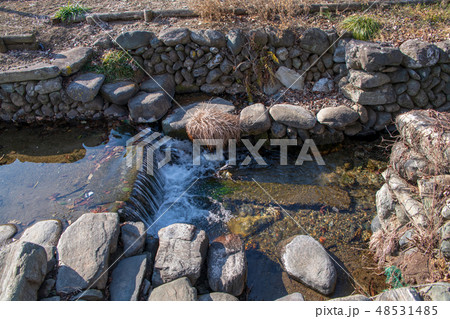 城下町小幡 雄川堰 群馬県甘楽町 城下町小幡 雄川堰 群馬県甘楽町 48531485