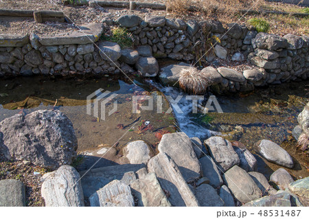 城下町小幡　雄川堰　群馬県甘楽町　 48531487