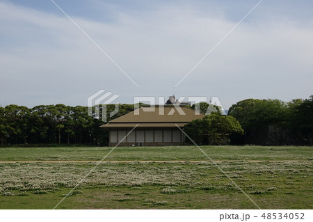 福岡城 福岡城 48534052