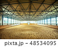 equestrian sport arena horse racecourse 48534095