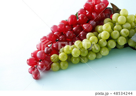 ブドウ ブドウ 48534244