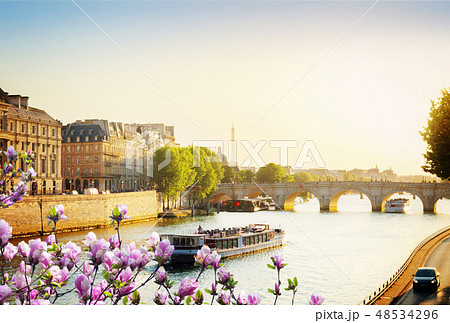 Pont Neuf, Paris, France 48534296