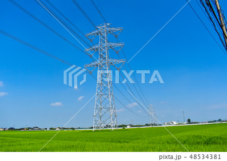晴れた日の夏の空と日に当たる電線と田んぼの稲 48534381