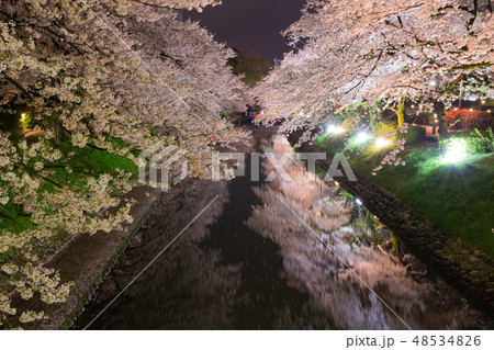 松川べりの夜桜 松川べりの夜桜 48534826