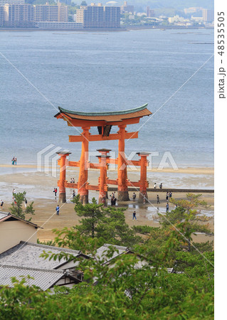 Floating orange shinto shrine of Miyajima Floating orange shinto shrine of Miyajima 48535505