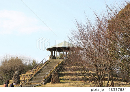 四季の森公園　春 48537684