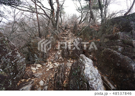 栃木県　足利市　石尊山　尾根にある古生層　チャートの岩場 48537846