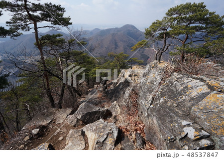 栃木県　足利市　石尊山　尾根にある古生層　チャートの岩場 48537847