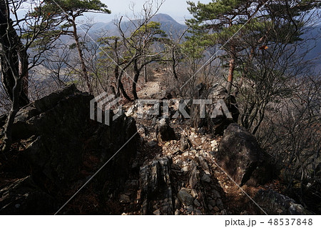 栃木県　足利市　石尊山　尾根にある古生層　チャートの岩場 48537848
