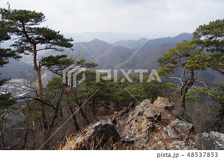 栃木県　足利市　石尊山　尾根にある古生層　チャートの岩場 48537853